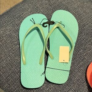 Aqua Flip Flops